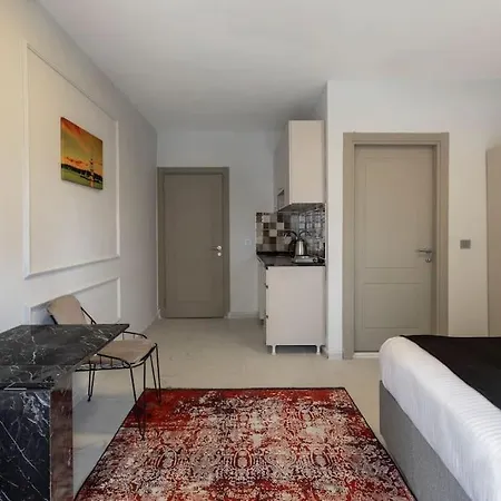 Cozy & Comfy Studio At Beyoglu - 44 Apartment
