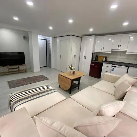 Renovated 2br Near Metro Istanbul