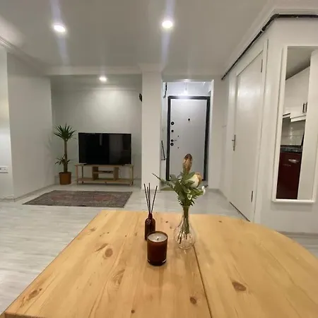 Renovated 2br Near Metro Istanbul
