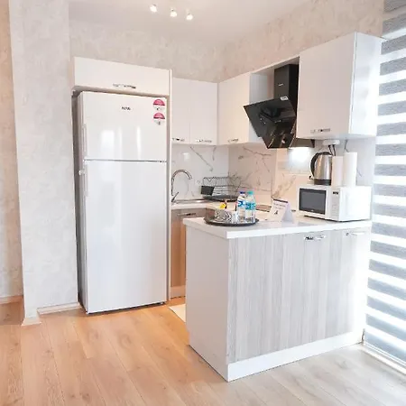 King Ms5 Apartment Istanbul