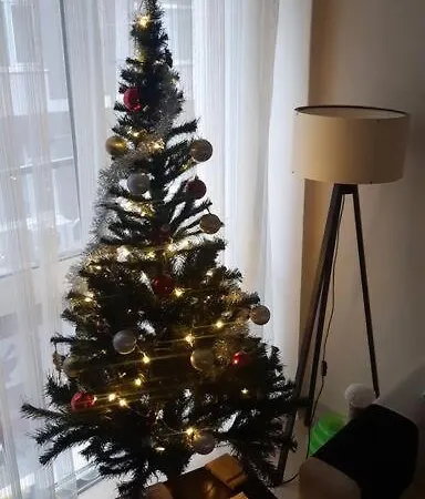 Apartment Cosy And Fully Furnished 2 Bedroom *