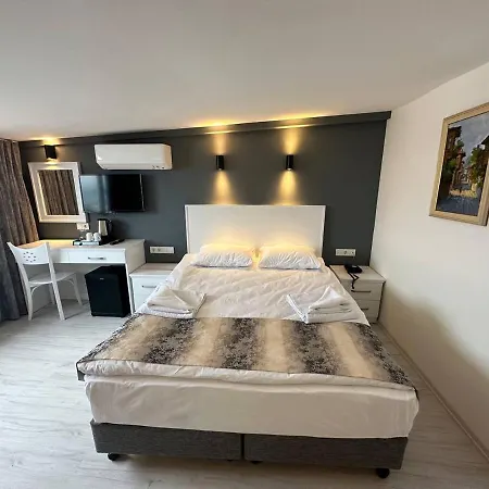 Hotel Hanedan