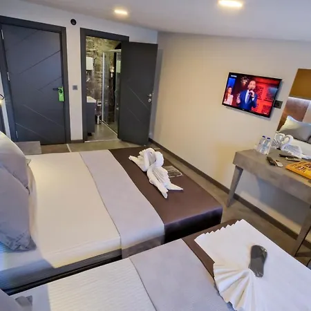 Hotel The Queen 2*