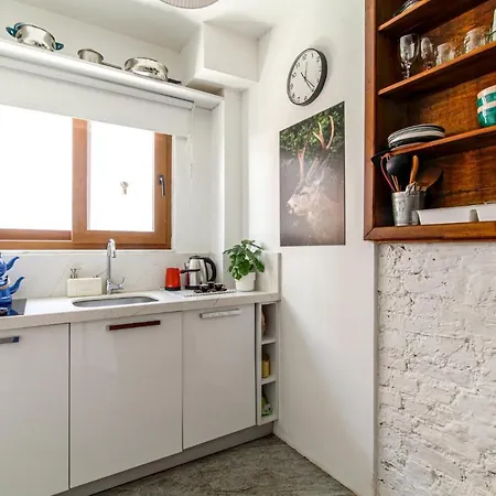 Apartment Single House Luminous And Chic Flat In Fatih Istanbul