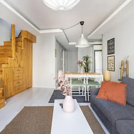 Apartment Stylish Duplex With Terrace 650 M To Galata Tower Istanbul