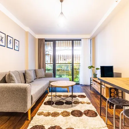 Apartment Chic And Convenient Flat In Kagithane