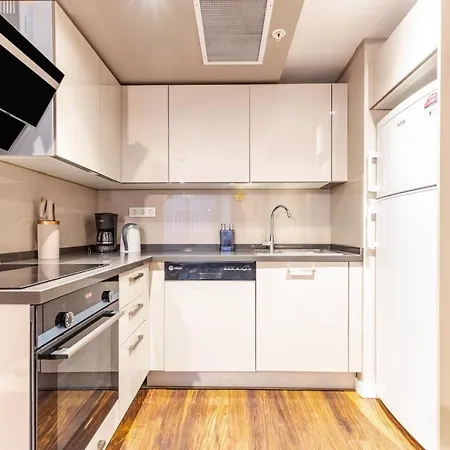 Apartment Chic And Convenient Flat In Kagithane