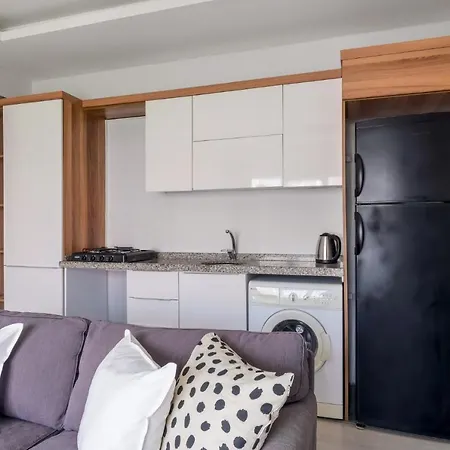 Furnished Cozy In Esenyurt Apartment Istanbul