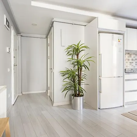 Apartment Stylish Duplex With Terrace 650 M To Galata Tower *