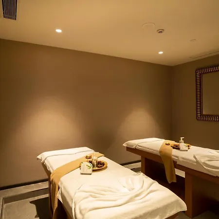 塔克西姆奥兹坦温泉大酒店 4* 伊斯坦布尔