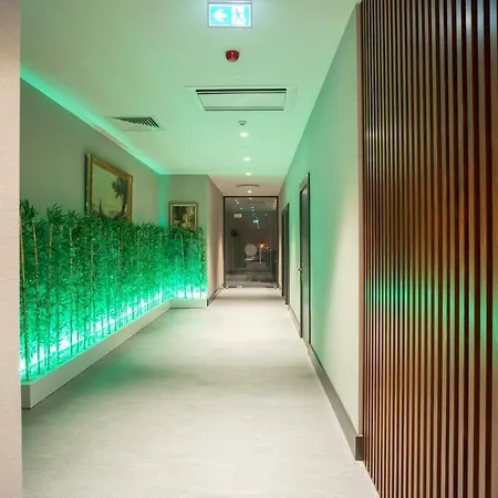 塔克西姆奥兹坦温泉大酒店 酒店