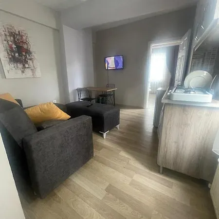 公寓 Taksim Dorsa Flats
