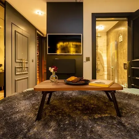 Ortakoy Modern & Luxury House With Bosporus View *