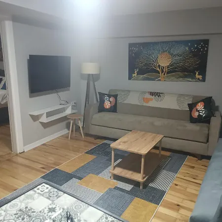 Disa & Apartment Istanbul