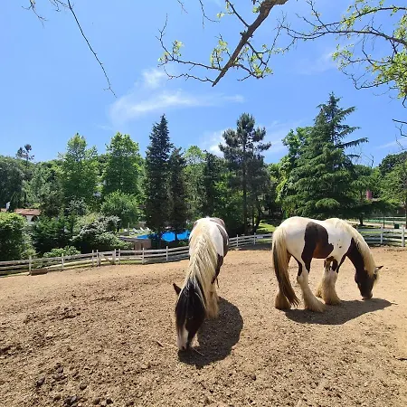 Polonezkoey Country Club & In The Wildlife Park! 3* İstanbul