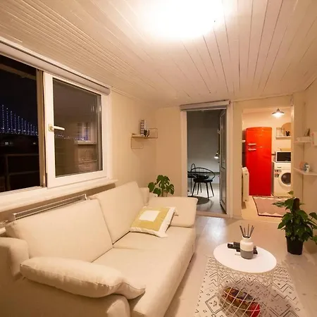 Aesthetic Penthouse With The Bosphorus Bridge View *