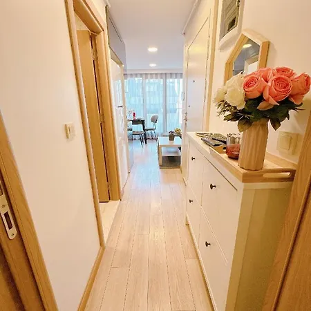 Apartment Aliya No1-new Close To Taksim Istanbul