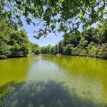 Polonezkoey Country Club & In The Wildlife Park! Resort İstanbul