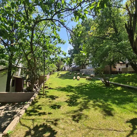 Polonezkoey Country Club & In The Wildlife Park! İstanbul