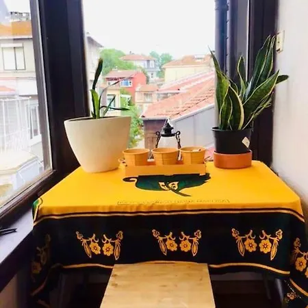 Historic Wooden House With Bosphorus View *