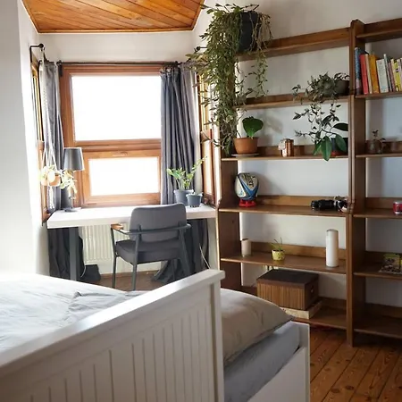 Cosy Roof Flat On 5th Floor With Bosphorus View * Istanbul