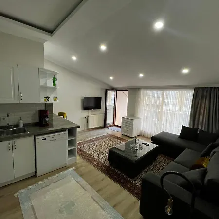 Amazing 1 Bedroom Penthouse With Large Terrace In Sisli Apartment Istanbul