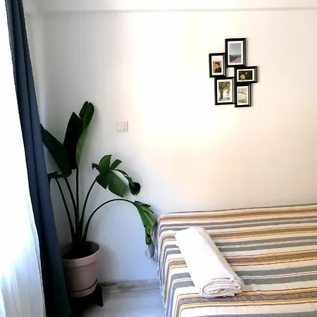 Cosy Flat In Ortakoy Bosphorus Apartment *