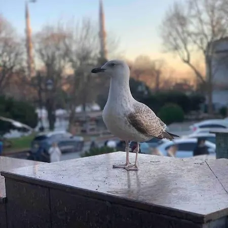 Cozy Place In Heart Of Taksim