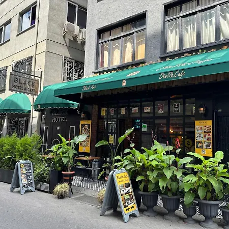 Black Art Hotel