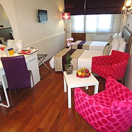 Bakirkoy Tashan Business & Airport Hotel 2*