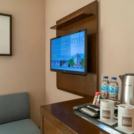 酒店 市中心酒店 伊斯坦布尔
