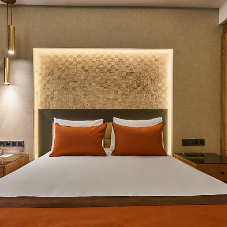 Hotel Grand Gulsoy Old City 4*