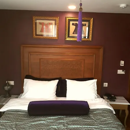 Hotel Merial Sultanahmet 3*