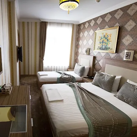 The Rise Aron Business Merter Отель 3*