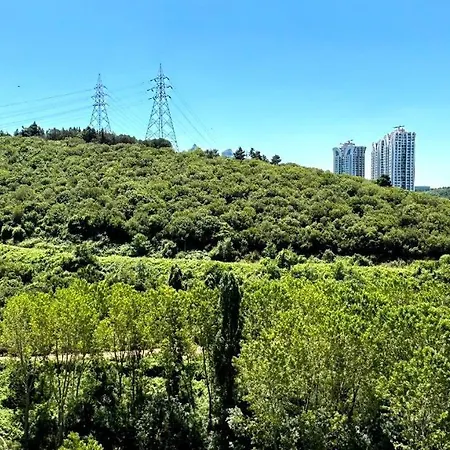 2+1 Ultra Luxury Maslak 1453 Apartment