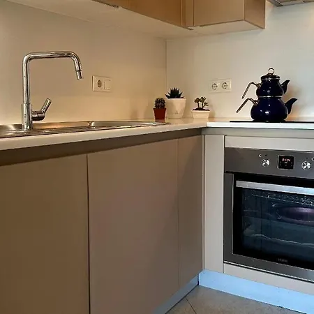 2+1 Ultra Luxury Maslak 1453 * Istanbul
