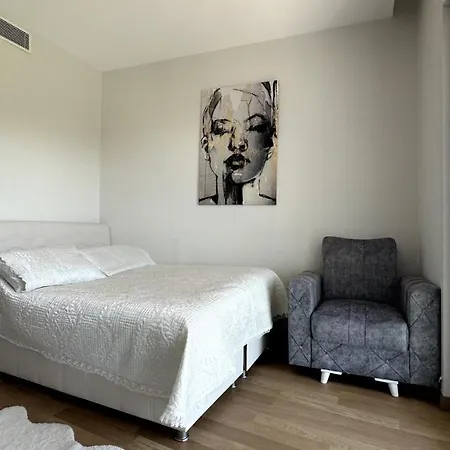 2+1 Ultra Luxury Maslak 1453 Apartment