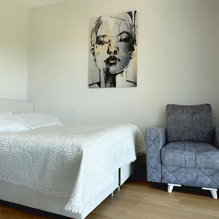 2+1 Ultra Luxury Maslak 1453 Apartment Istanbul