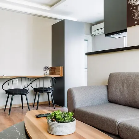 Chic Modern Flat Near Torium Mall In Beylikduzu Apartment *