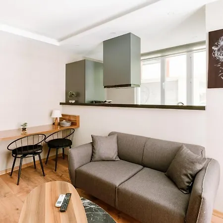 Chic Modern Flat Near Torium Mall In Beylikduzu Apartment Istanbul