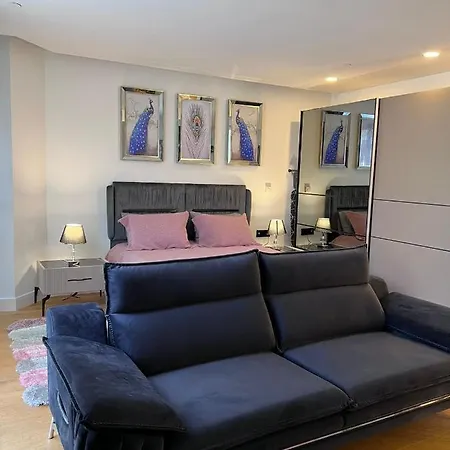 -comfortable Living Space- Fully Equipped -pullman *