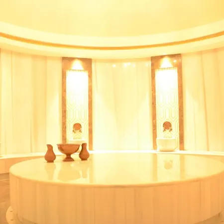 -comfortable Living Space- Fully Equipped -pullman