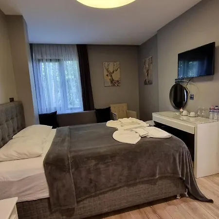 Hotel Vesta Butik 4*