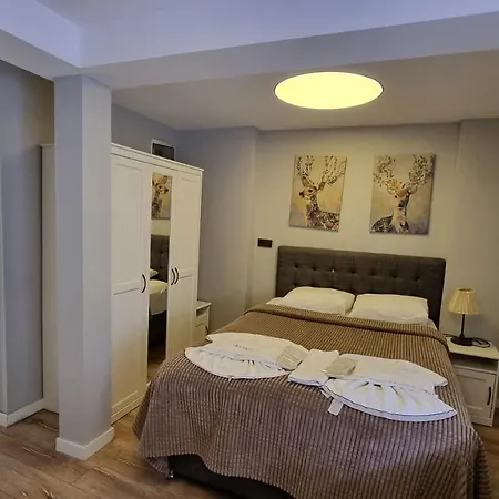 Vesta Butik Hotel Istanbul