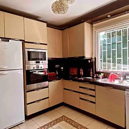 Bogaz Ve Kopru Manzarali, Bahceli Mustakil Ev Villa Istanbul
