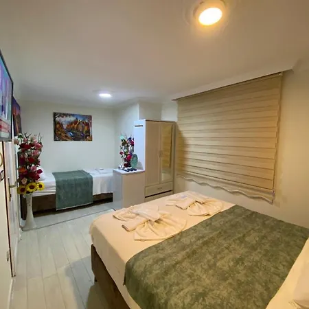 Hotel Sultanahmet Family *
