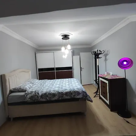 N Play Bed & Breakfast *