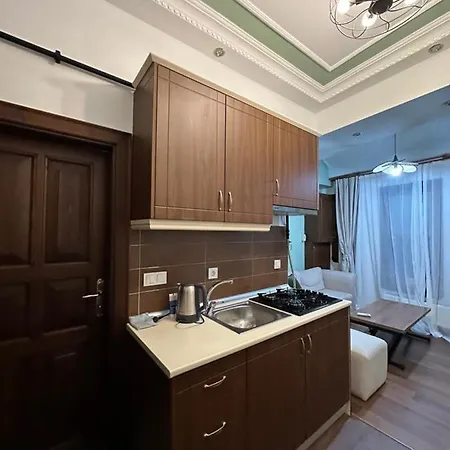 Apartment Historical Mansion *