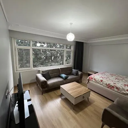 Private In Shared Appartement *