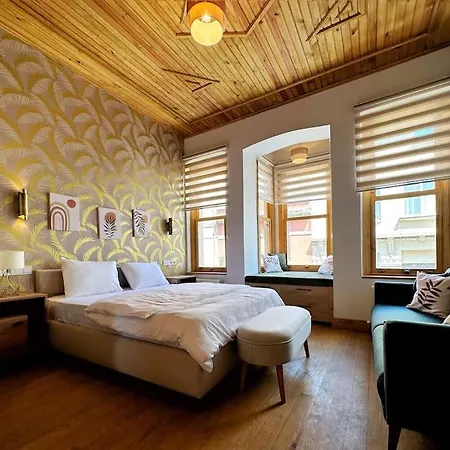 Refurbished Triplex In Taksim * Provincia di Istanbul